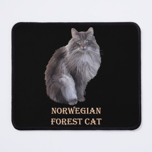 Item preview, NORWEGIAN FOREST CAT – NORST SKOGKAT designed and sold by Danicus666.