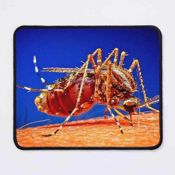 Item preview, Mosquito photo with high resolution quality designed and sold by Allyouneed-2.