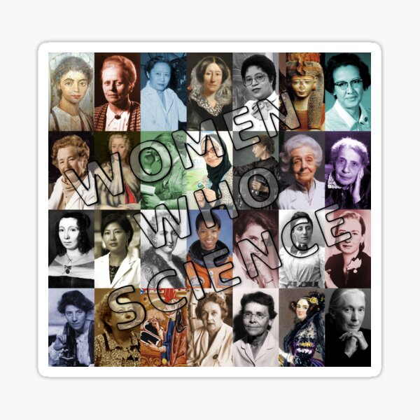 Women Who Science (Feminist) Sticker