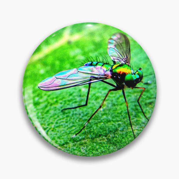 Item preview, Foto de mosquito con calidad de alta resolución. designed and sold by Allyouneed-2.