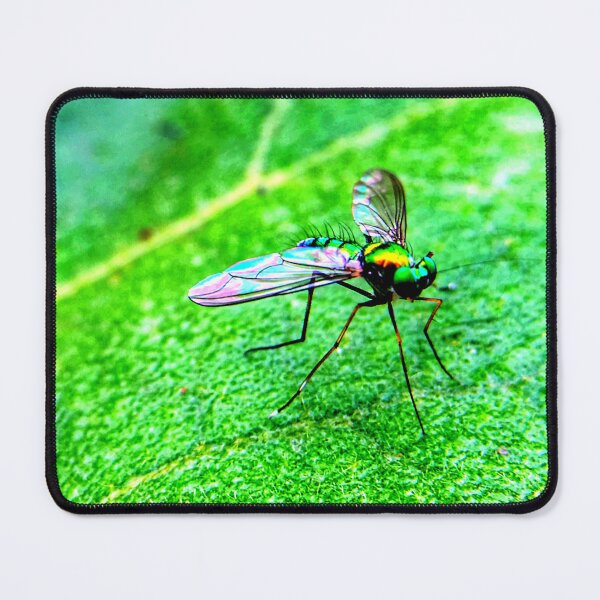 Item preview, Mosquito photo with high resolution quality designed and sold by Allyouneed-2.