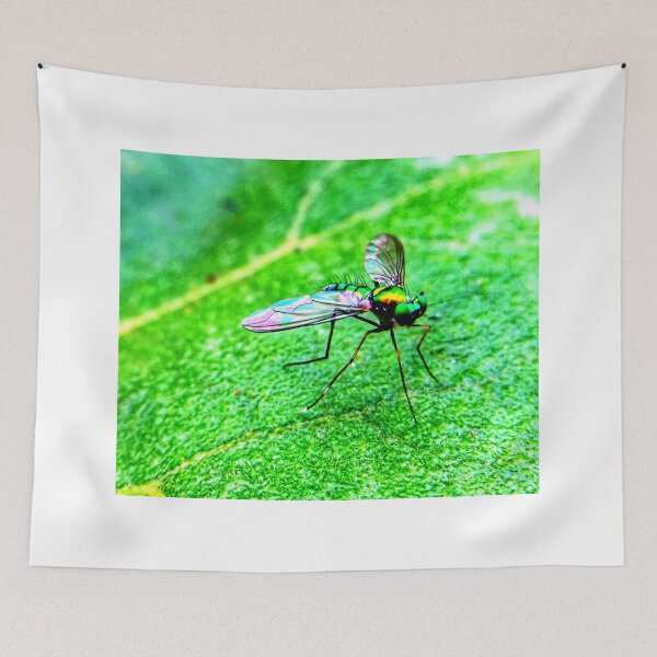 Item preview, Mosquito photo with high resolution quality designed and sold by Allyouneed-2.