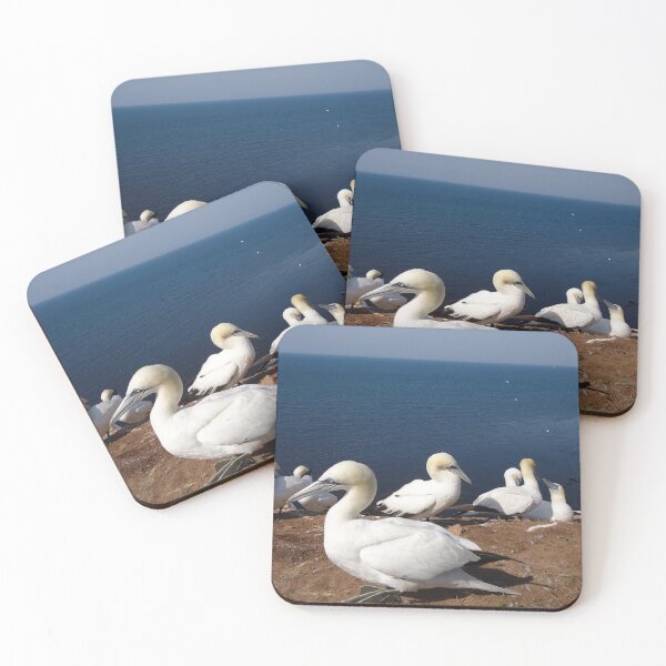 Item preview, Gannets Helgoland designed and sold by gesa118.