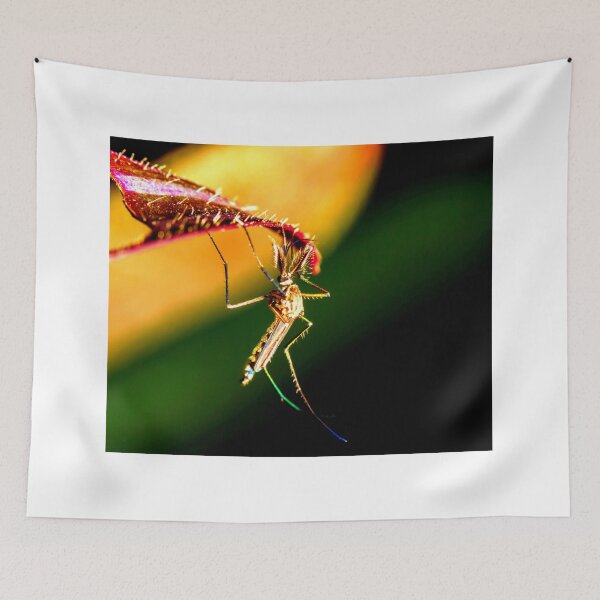 Item preview, Mosquito photo with high resolution quality designed and sold by Allyouneed-2.