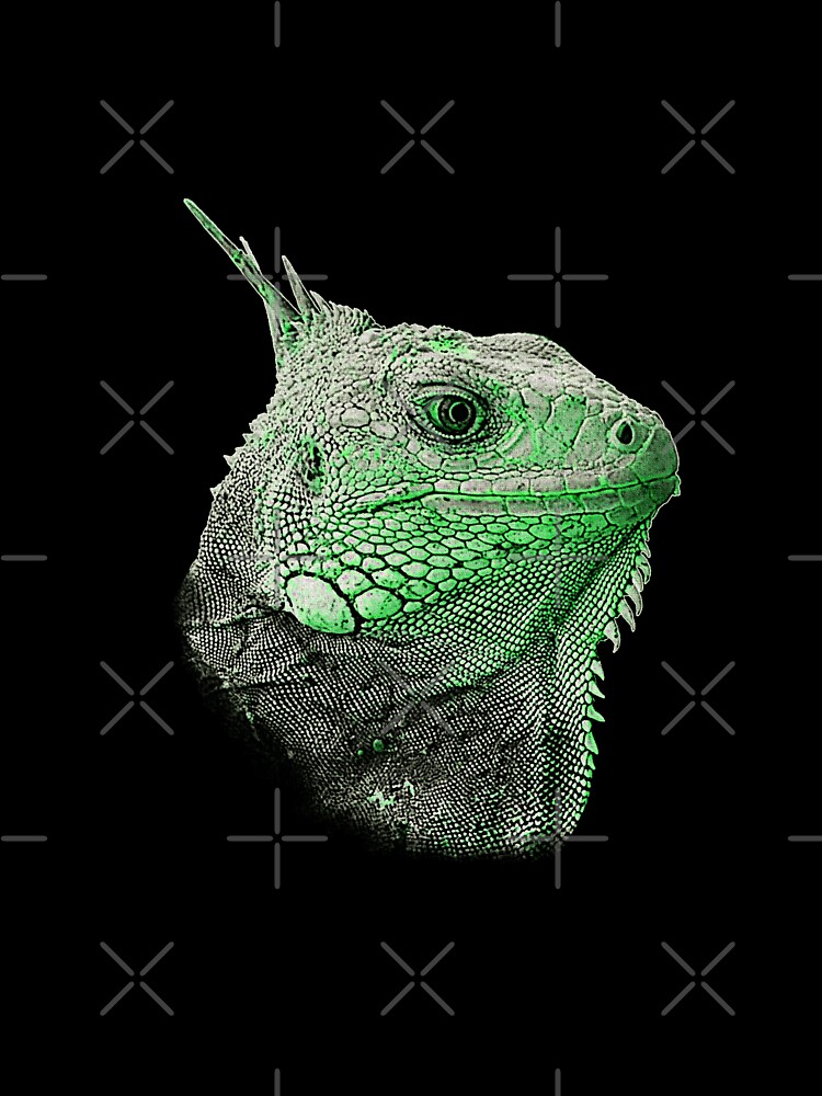 Camiseta para niños «cabeza de iguana, mejor ropa de reptil, iguanas» de  Kirei-Lily | Redbubble