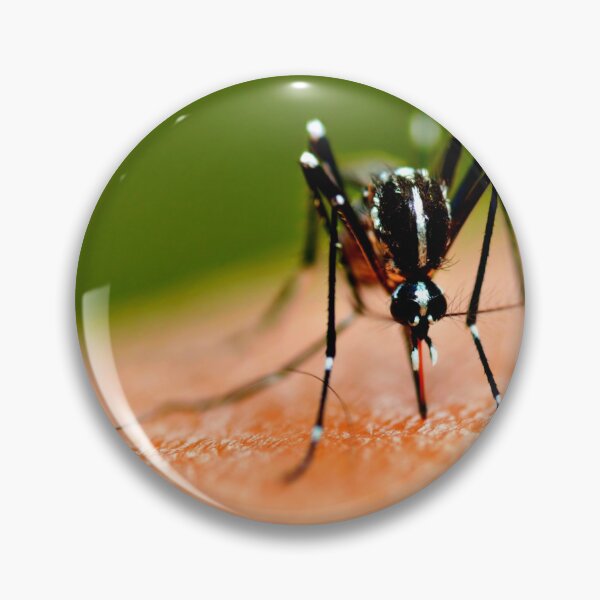 Item preview, Foto de mosquito con calidad de alta resolución. designed and sold by Allyouneed-2.