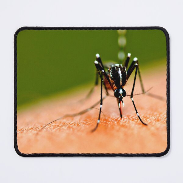 Item preview, Mosquito photo with high resolution quality designed and sold by Allyouneed-2.