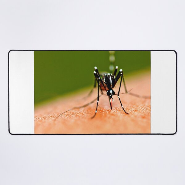 Item preview, Mosquito photo with high resolution quality designed and sold by Allyouneed-2.