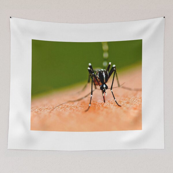 Item preview, Mosquito photo with high resolution quality designed and sold by Allyouneed-2.