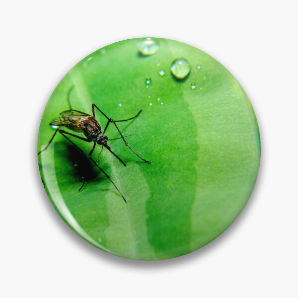 Item preview, Foto de mosquito con calidad de alta resolución. designed and sold by Allyouneed-2.
