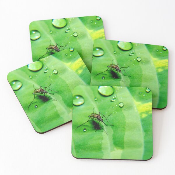 Item preview, Mosquito photo with high resolution quality designed and sold by Allyouneed-2.