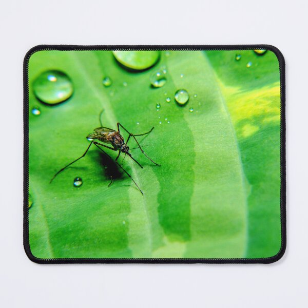 Item preview, Mosquito photo with high resolution quality designed and sold by Allyouneed-2.