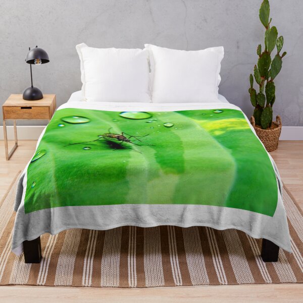 Item preview, Mosquito photo with high resolution quality designed and sold by Allyouneed-2.