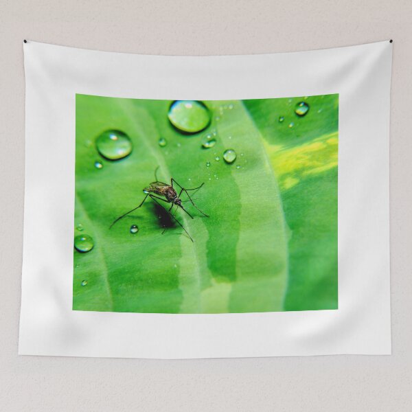 Item preview, Mosquito photo with high resolution quality designed and sold by Allyouneed-2.
