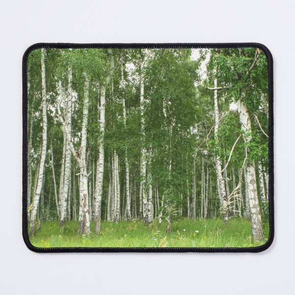 Item preview, birch forest designed and sold by TatianaAn.
