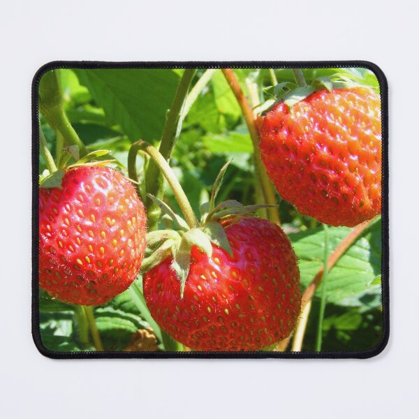 Item preview, red berries designed and sold by TatianaAn.