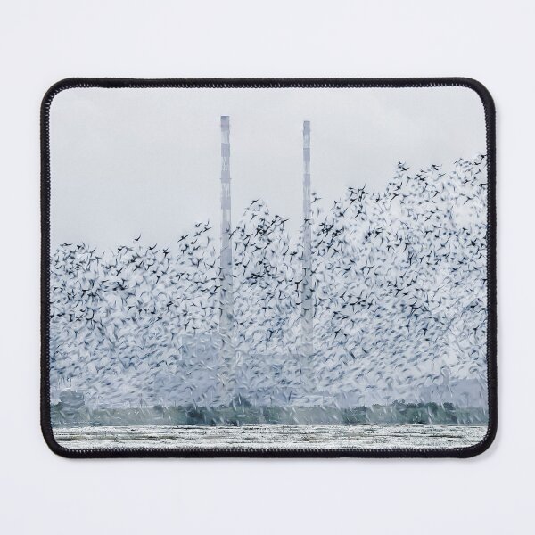 Item preview, Flock of Birds & Poolbeg designed and sold by Paul O'Byrne.