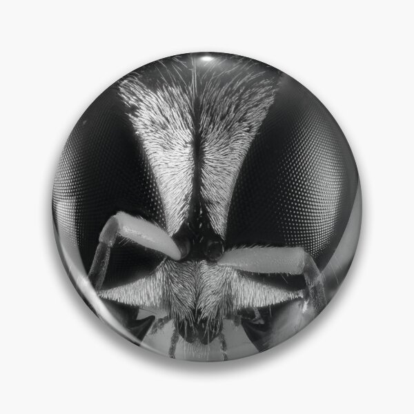 Item preview, realistic image Of the Bee - macro head detail designed and sold by Rostislav Bouda.