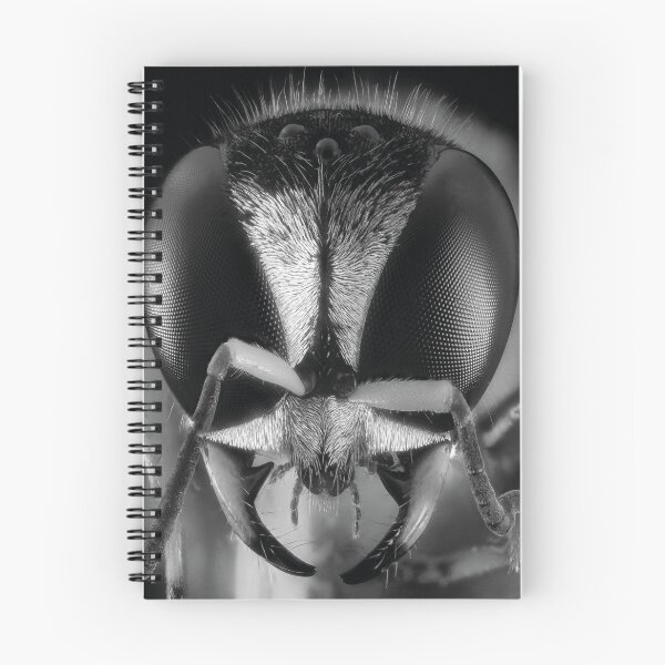 Item preview, realistic image Of the Bee - macro head detail designed and sold by Rostislav Bouda.