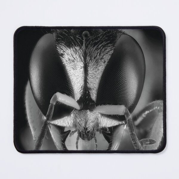 Item preview, realistic image Of the Bee - macro head detail designed and sold by Rostislav Bouda.