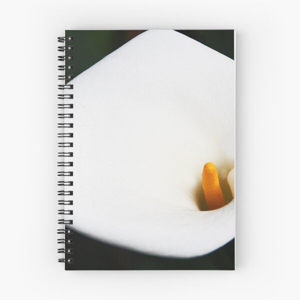 Item preview, So Calla designed and sold by Chet  King.