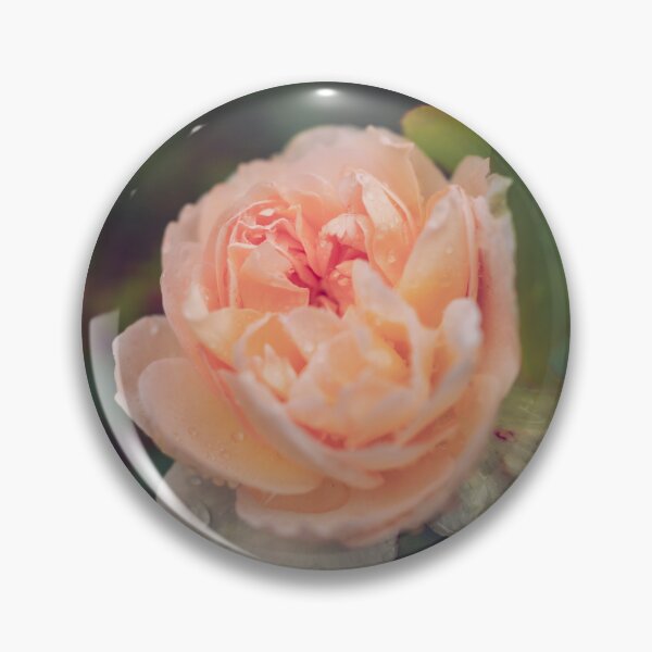 Item preview, Peach Rose designed and sold by Siobhan Hill.