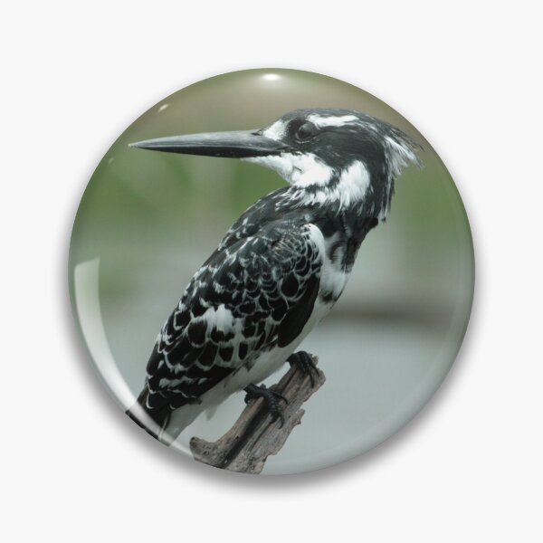 Item preview, King Fisher 2 designed and sold by MarkBraham.