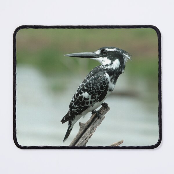 Item preview, King Fisher 2 designed and sold by MarkBraham.