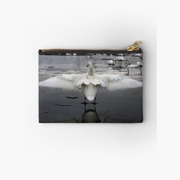 Item preview, Trumpeter Swans of Heber Springs, AR - 2 designed and sold by mal-photography.