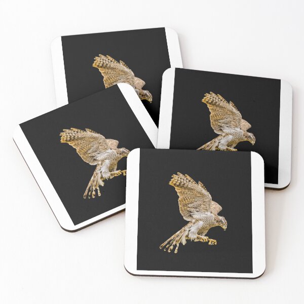 Item preview, Northern Goshawk Graphic T-Shirt designed and sold by YASMINGENT.