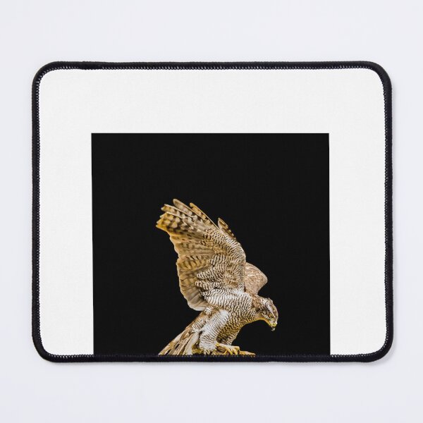 Item preview, Northern Goshawk Graphic T-Shirt designed and sold by YASMINGENT.