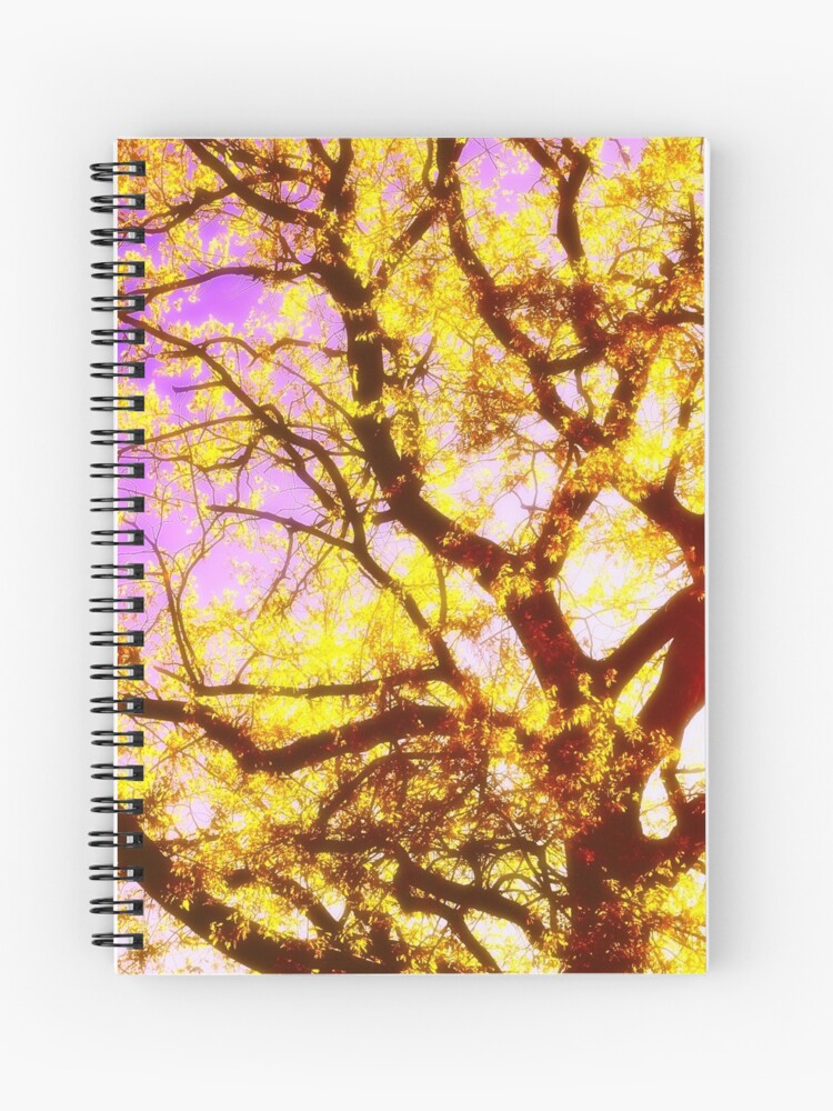 Thumbnail 1 of 3, Journal, Sunny Branches designed and sold by Mallorn.