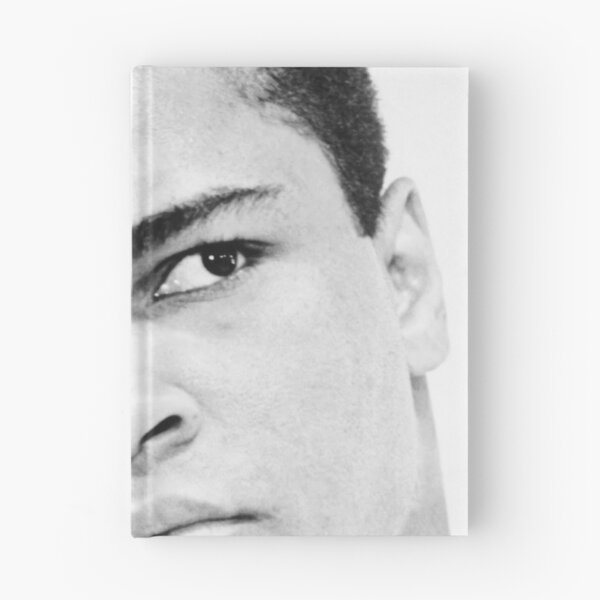 Item preview, The Greatest Nickamed Professional Boxers Poster designed and sold by fucuutm.