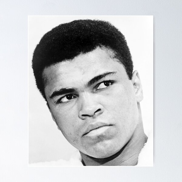 Item preview, The Greatest Nickamed Professional Boxers Poster designed and sold by fucuutm.