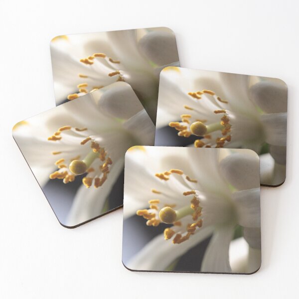 Item preview, Lemon Tree Blossom designed and sold by spiffydave.