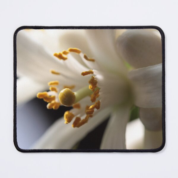Item preview, Lemon Tree Blossom designed and sold by spiffydave.