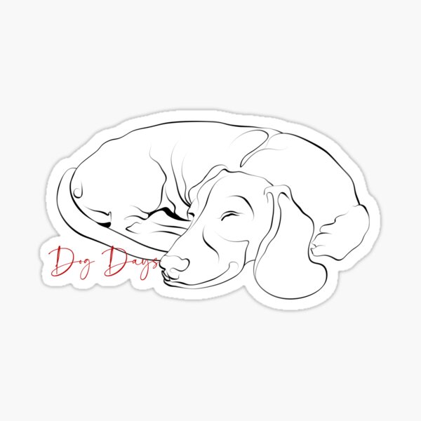 Dog Days - a sleeping Doxie Sticker