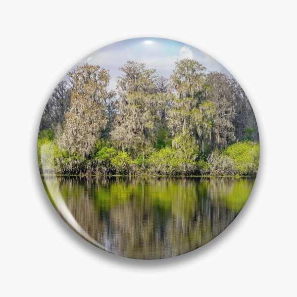Item preview, Reflections in Florida designed and sold by Susan Rydberg.