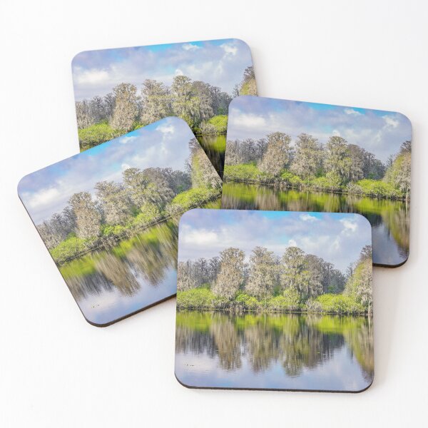 Item preview, Reflections in Florida designed and sold by Susan Rydberg.