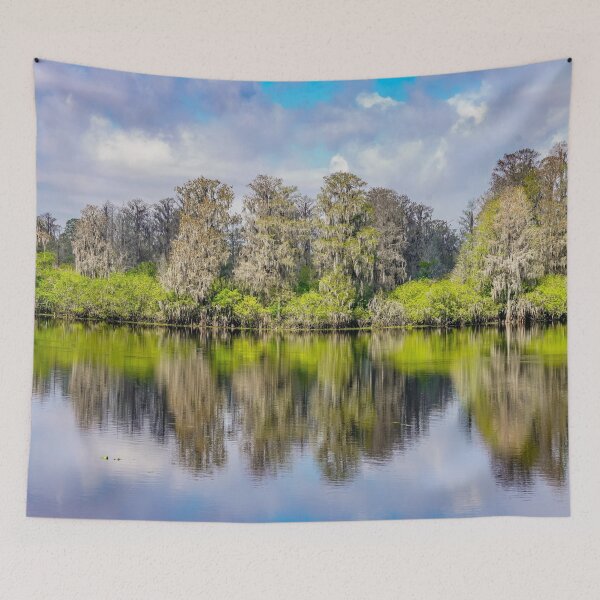 Item preview, Reflections in Florida designed and sold by Susan Rydberg.
