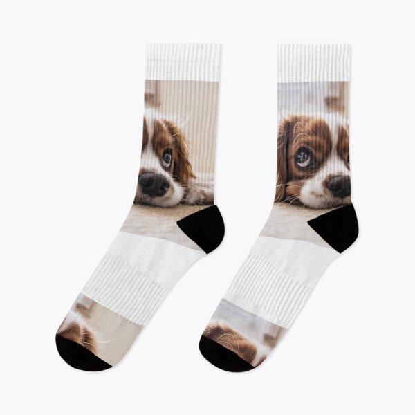 Item preview, English Golden Sleepy Dog,Sleepy  Golden Puppy designed and sold by DeeCeeFashion.