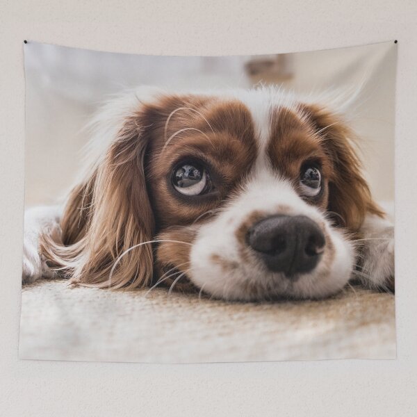 Item preview, English Golden Sleepy Dog,Sleepy  Golden Puppy designed and sold by DeeCeeFashion.
