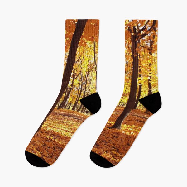 Item preview,  autumn forest designed and sold by TatianaAn.