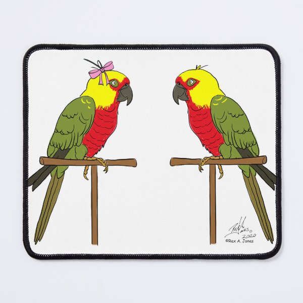Item preview, Crazy Bird Person with Jenday conures designed and sold by Laughing Parrot Studio.