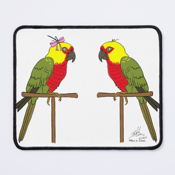 Item preview, Crazy Bird Man with Jenday conures designed and sold by Laughing Parrot Studio.