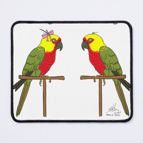 Item preview, Crazy Bird Lady with Jenday conures designed and sold by Laughing Parrot Studio.