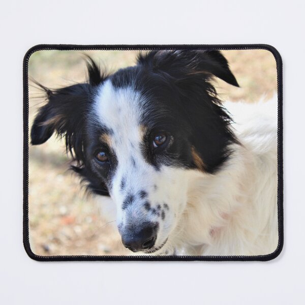 Item preview, Skipper Portrait designed and sold by banditandkoko.