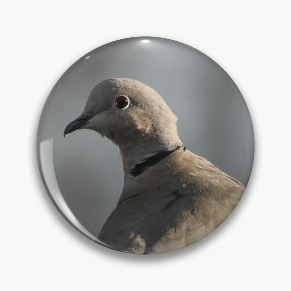 Item preview, Collared Dove designed and sold by rwhooster.