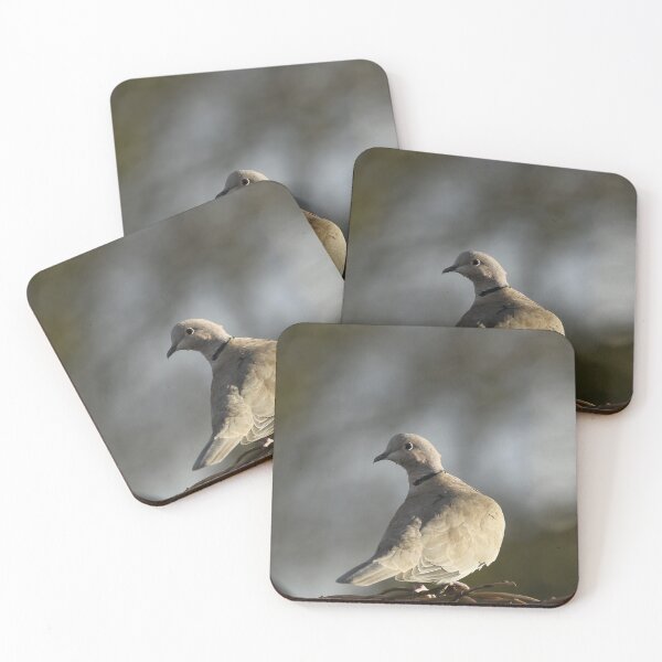 Item preview, Collared Dove designed and sold by rwhooster.