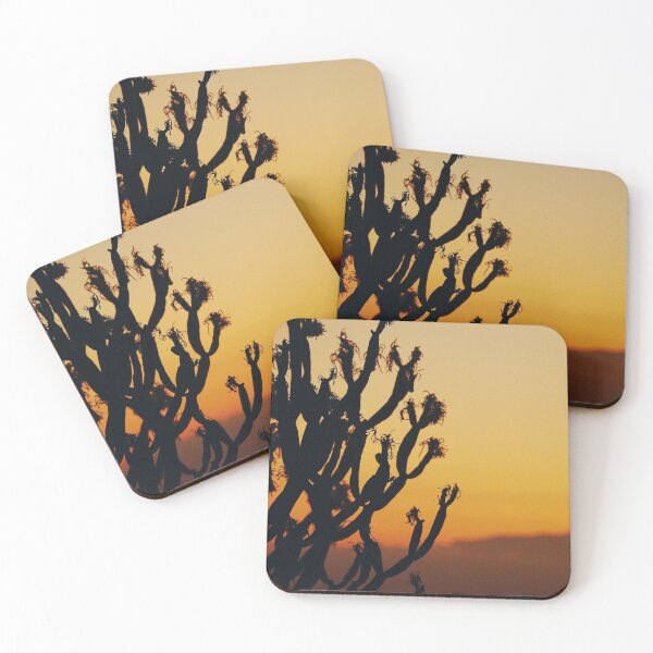 Item preview, Sweet tabaiba wild cactus at sunset | Tenerife Canary Islands designed and sold by CarolinaReina.